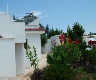 Evergreen - Polignano a Mare - 8