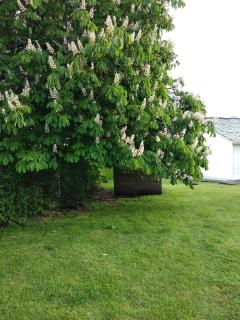 O abeiro de Buscalte - 8