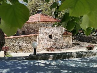 Apartman ST.Nedeljkovic Sokobanja - Soko Banja - 1