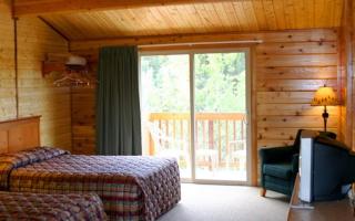 Denali Grizzly Bear Resort - McKinley Park - 9