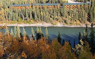 Denali Grizzly Bear Resort - McKinley Park - 7