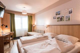 JUFA Hotel Grundlsee - Grundlsee - 6
