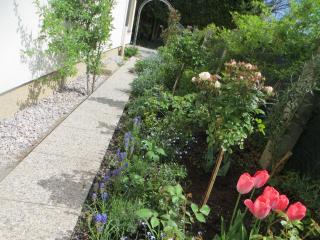 Premium City Apartment Amadeus - 1