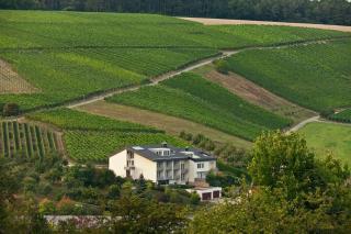 BENZ Weingut & Weinhotel - 8