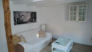 Eulen- & Altstadtnest - Peine - 8
