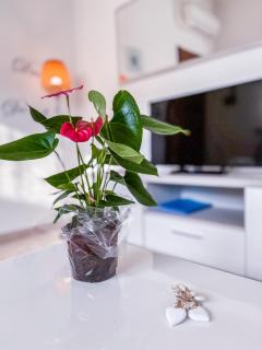 MyHouse Inn Torino - Affitti Brevi Italia - Collegno - 3