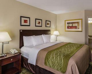 Comfort Inn Southwest Fwy at Westpark - Houston - 1