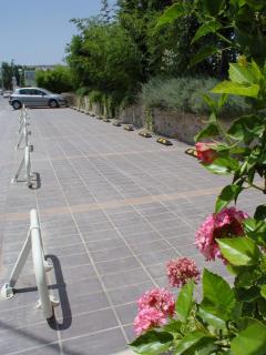 Sitia Bay - Sitia - 3