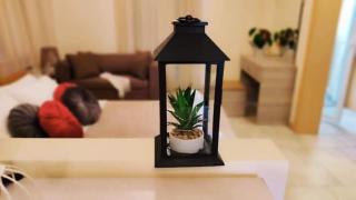 Apartment Milonas Antoni - Limenaria - 6