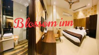 Hotel Blossom Inn - Amritsar - 1