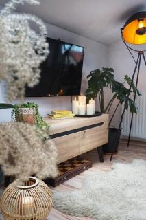 Loft Żuławy, apartament na wyłączność - Nowy Dwór Gdański - 6