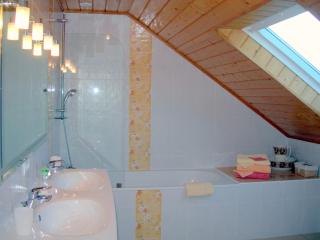 Kerantum à10mn des baies de Douarnenez et Audierne avec cuisine à disposition - 2