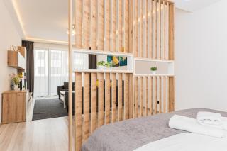 Isaran 2D3E Apartment Brașov - Braşov - 7