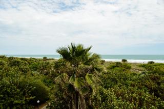 Discovery Beach Resort - 3