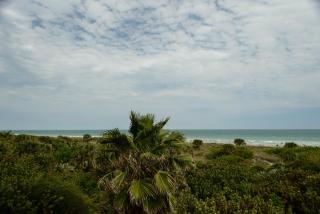 Discovery Beach Resort - 4
