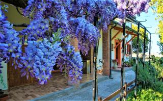 B&B La mia Oasi - Comacchio - 8