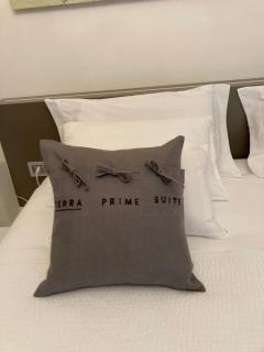 Terra Prime Suite - 9
