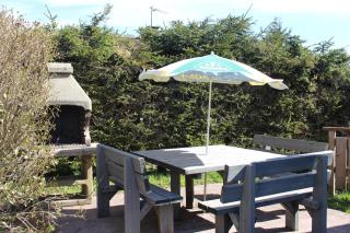 Chalet Les Bouleaux, la montagne des lamas - La Bresse - 1