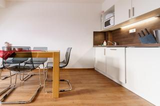 Boží Apartmány V by Mountain ways - Boží Dar - 6