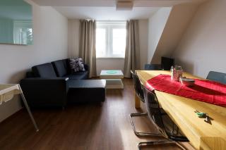 Boží Apartmány V by Mountain ways - Boží Dar - 8