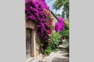 Coquet 2 pièces coeur Vieil Antibes - Antibes - 4