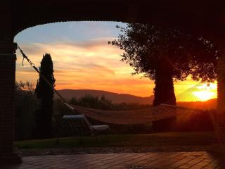 Agriturismo Il Raduno - Max Lelli - Marsiliana - 5