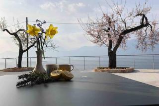Villa Teresa.. appartamento “Casa Marta” - Brenzone sul Garda - 7