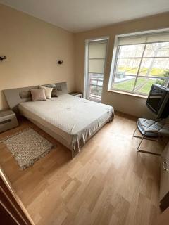 Kalno Apartamentai - Juodkrantė - 3