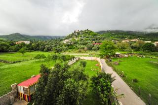 Villa Dolphin Apartments - Petrovac na Moru - 8