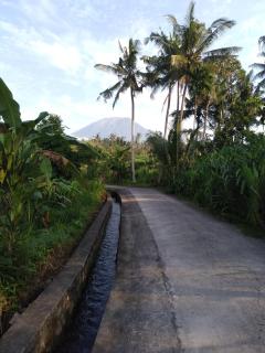 Pondok Alam Bukit - Tirtagangga - 4