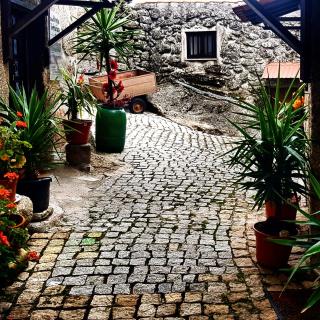 Casa Bento Teixeira - Belmonte - 5