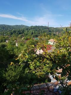 Pensiunea TOP DEMAC - 9