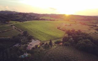 La Falconara - Montepulciano - 8