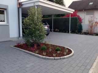 Ferienwohnung Am Hochrhein - Murg - 8