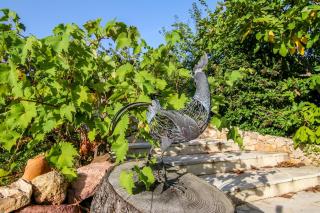 Villa Eden - Antibes - 6