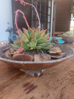 CASA 19 - Albufeira - 9