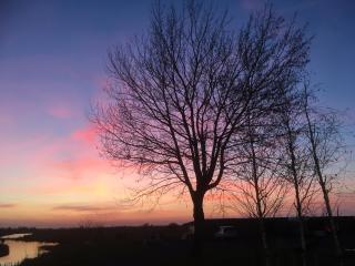 BnB Purmerland - Purmerend - 9
