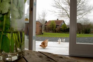 BnB Purmerland - Purmerend - 5