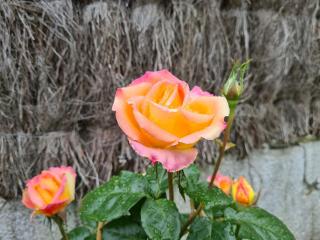 initial by balladins Bordeaux / Eysines - 5