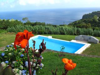 Vivenda Flores - Casa Hortensia - Lomba - 3