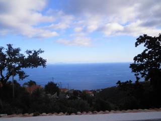 Villa Luz II - NEW - Private Outdoor Area - Santa Cruz - 1