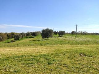 Podere San Giuseppe - 5