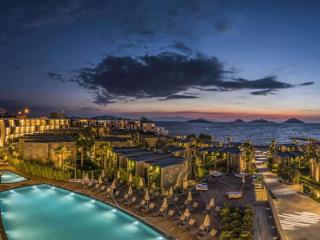 Swissôtel Resort Bodrum Beach - Turgutreis - 9