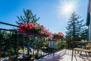 Villa Walir - Spa Hotel Garni SUPERIOR - Mariánské Lázně - 8