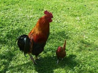 Au Bas Chalonge Gite Le Four à Pain - Ligné - 2