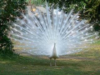 Au Bas Chalonge Gite Le Four à Pain - Ligné - 1