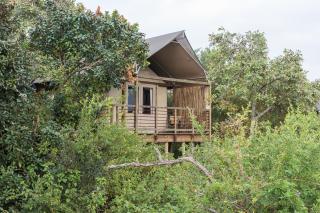 Ndhula Luxury Tented Lodge - White River - 7