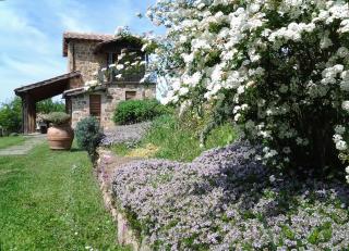 Agriturismo Casa Fibbianello - Semproniano - 7
