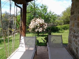 Agriturismo Casa Fibbianello - Semproniano - 8