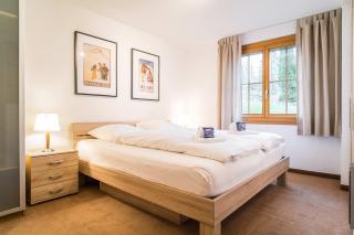 Apartment Jungfrau - GRIWA RENT AG - Grindelwald - 7